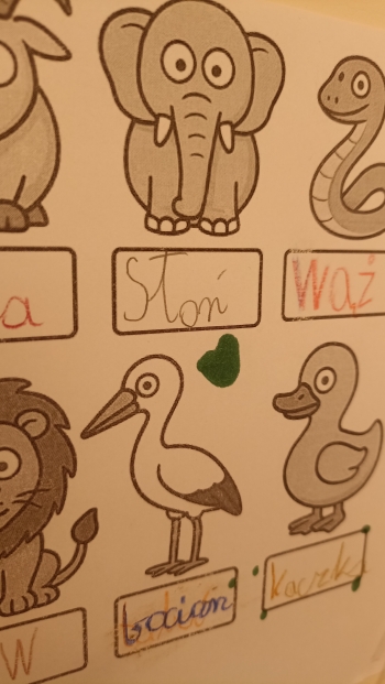 IMG_20260401_140433