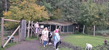 IMG-20261008-WA0042
